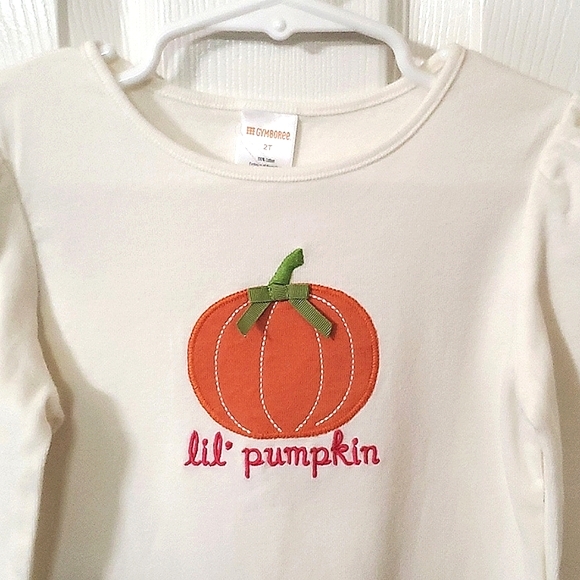NWT New Gymboree Lil' Pumpkin Long Sleeve Top Toddler Girls Size 2T - Picture 4 of 6